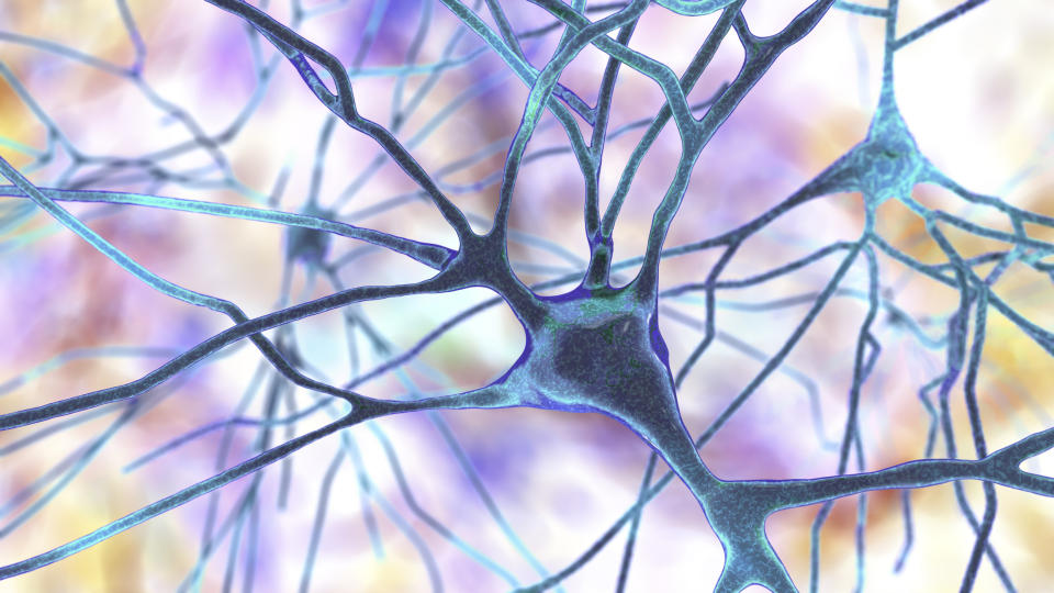 Abstract depiction of interconnected neurons with branching structures